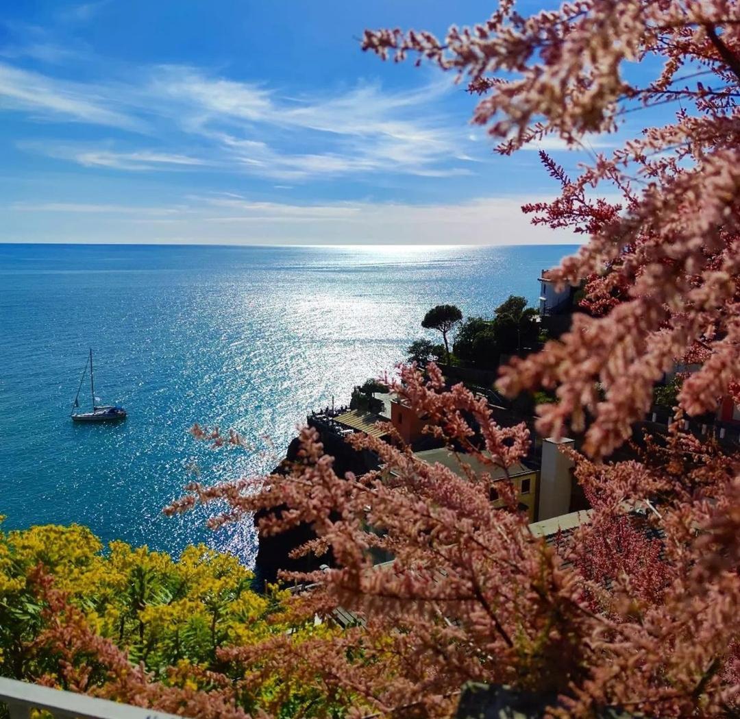 Exotic Flavour House Hotel La Spezia Exterior foto
